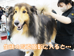 ☆カメラ目線特集☆